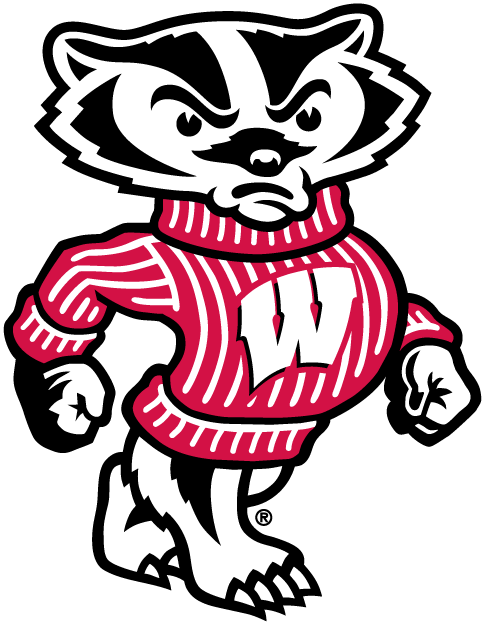 Wisconsin Badgers 2002-Pres Mascot Logo v2 diy iron on heat transfer...
